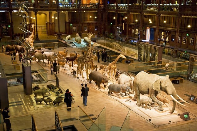Galeria da Evolução no Museu de História Natural