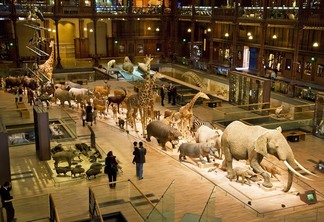 Museu Nacional de História Natural em Paris