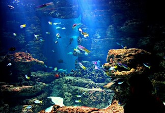 Aquarium Cinéaqua de Paris