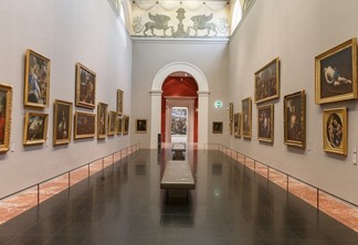 Salle des Griffons no Museu Fabré