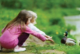 Crianças com patos no parque