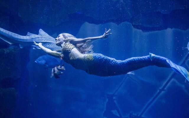 A sereia Claire do Aquarium Cinéaqua de Paris