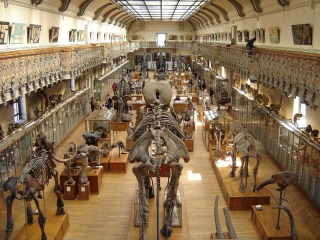 Museu Nacional de História Natural de Paris