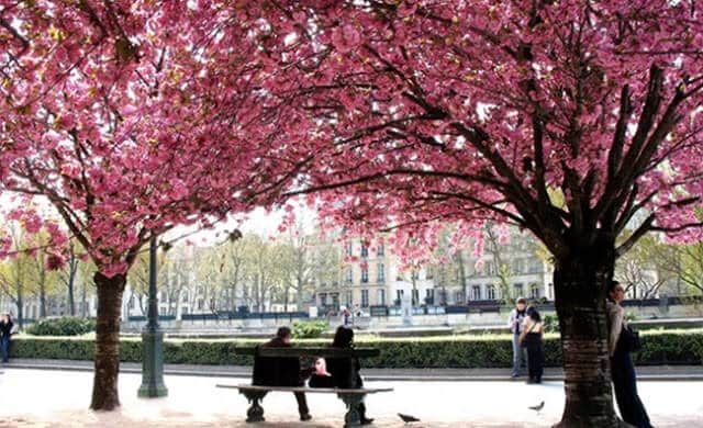 Parques de Paris em Março