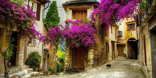 Provence e Côte d’Azur na França